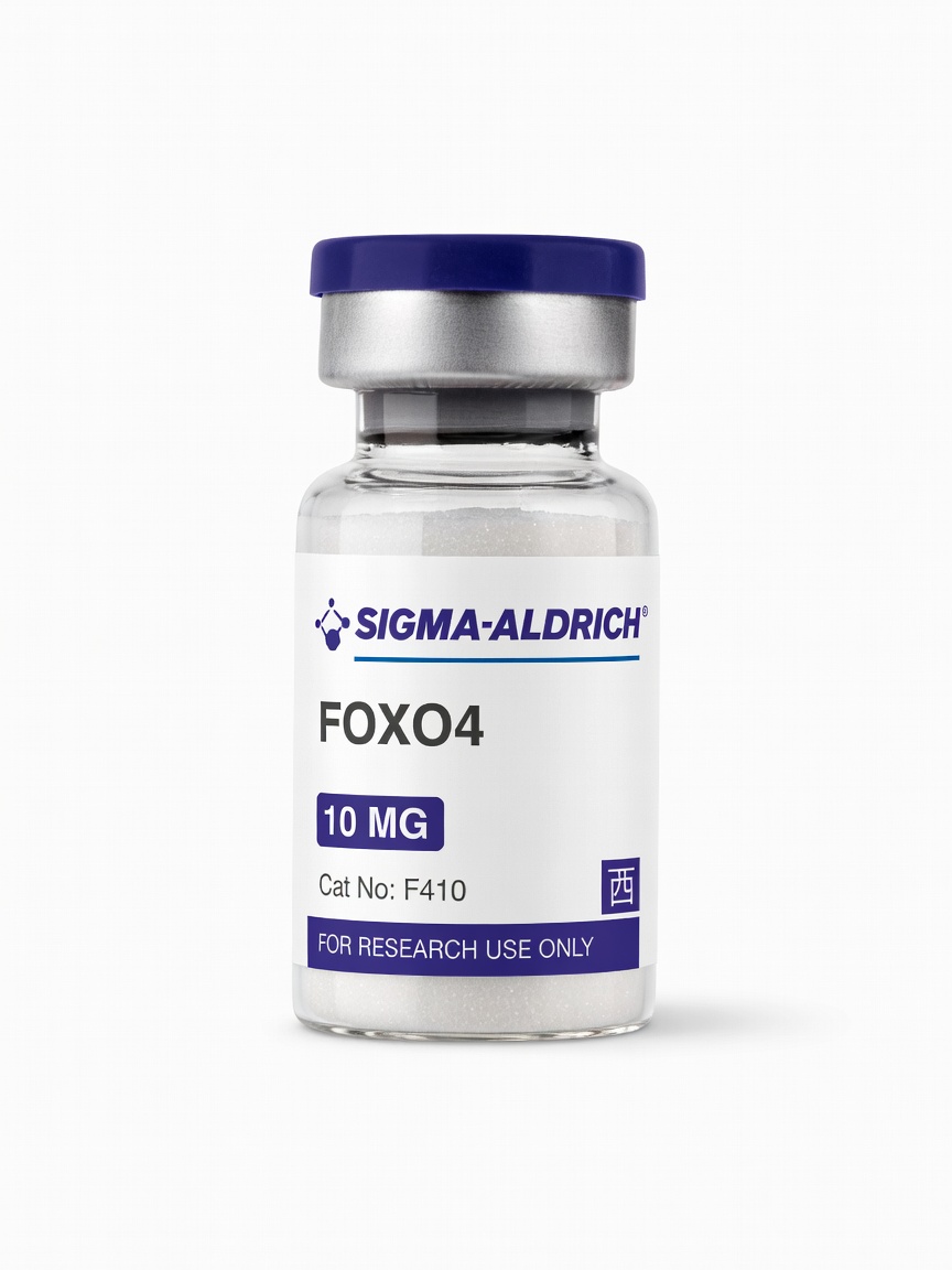 FOXO4